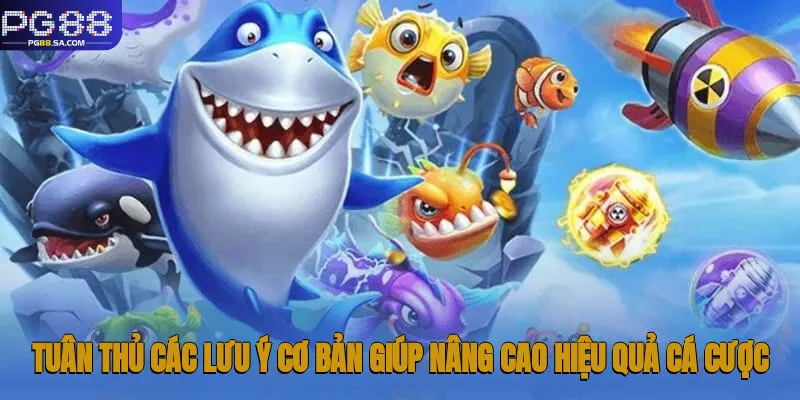 Bắn Cá Vàng - Chinh Phục Đại Dương Cùng Nhà cái Pg88 3 Tuân thủ các lưu ý cơ bản giúp nâng cao hiệu quả cá cược